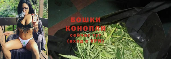 a pvp Магас