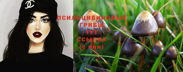 трава Майский