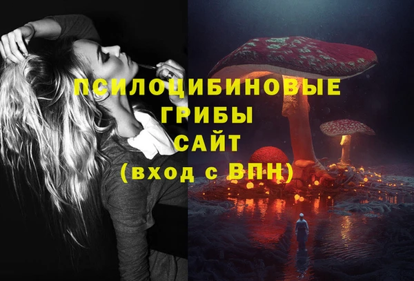mdpv Медвежьегорск