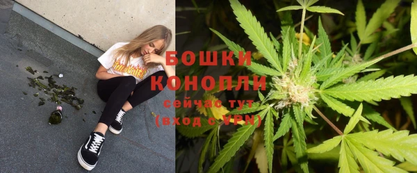 трава Майский