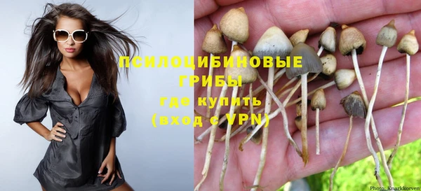мдпв Магадан