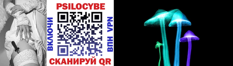 Галлюциногенные грибы прущие грибы  Сунжа 