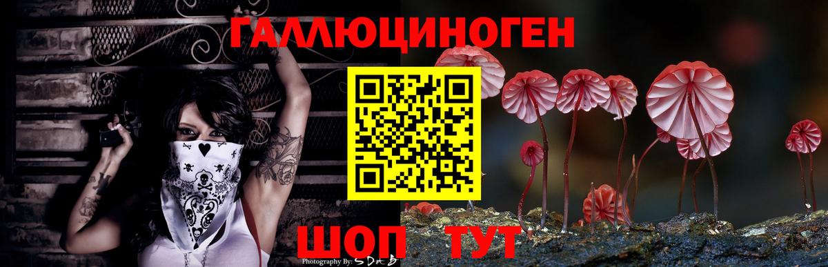 Галлюциногенные грибы Cubensis Сунжа