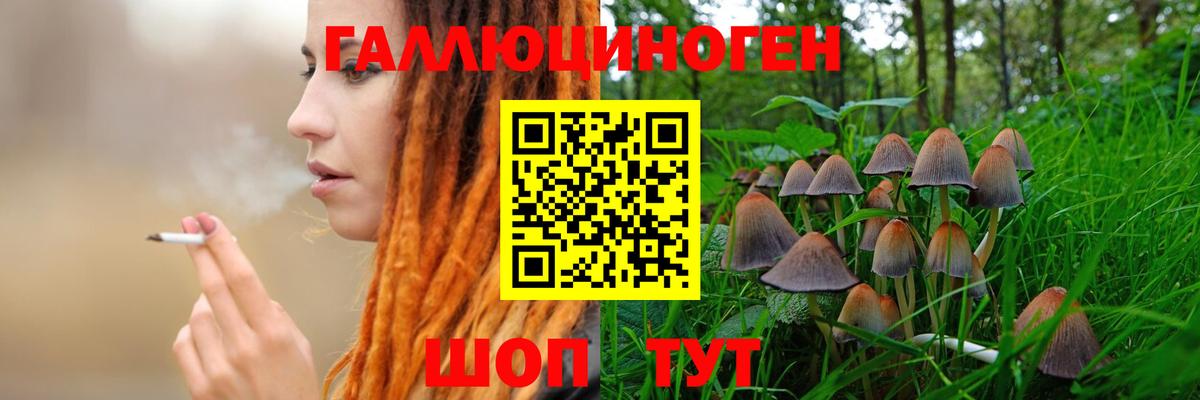 купить наркотики цена  Сунжа  Галлюциногенные грибы Magic Shrooms 